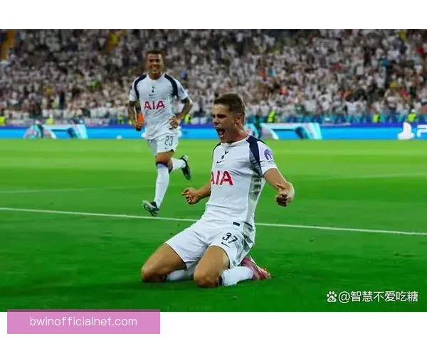 热刺欧冠主场四连胜零封强势2比0击败多特彰显豪门底蕴欧陆赛场