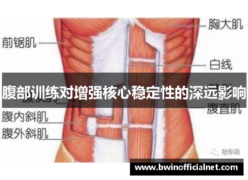 腹部训练对增强核心稳定性的深远影响